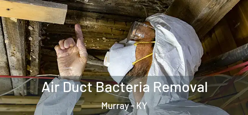 Air Duct Bacteria Removal Murray - KY