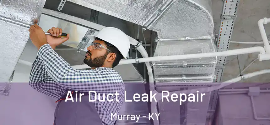  Air Duct Leak Repair Murray - KY