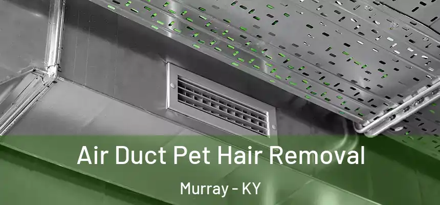 Air Duct Pet Hair Removal Murray - KY