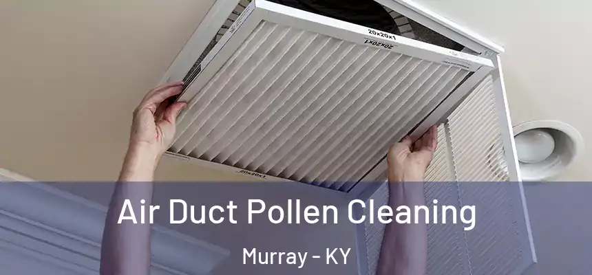  Air Duct Pollen Cleaning Murray - KY