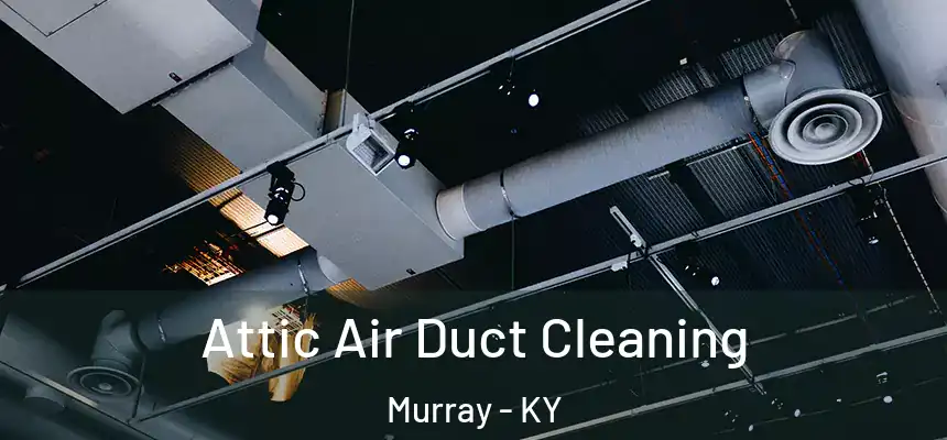  Attic Air Duct Cleaning Murray - KY