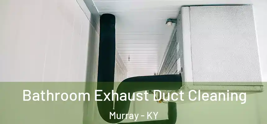  Bathroom Exhaust Duct Cleaning Murray - KY