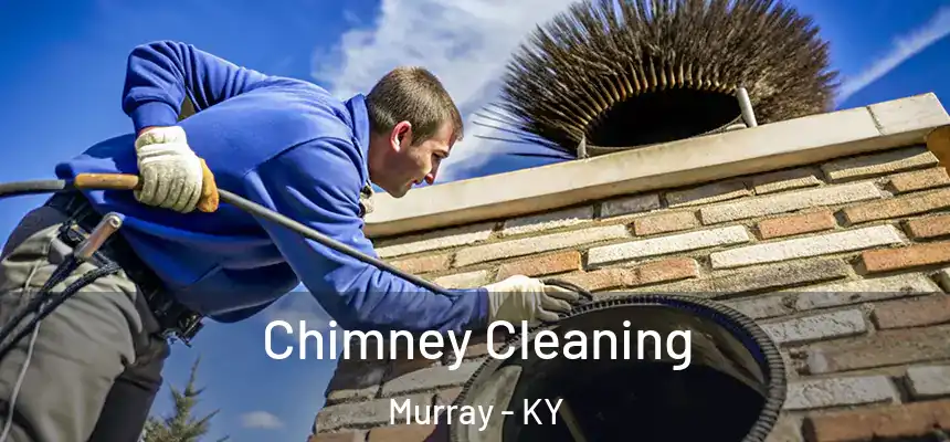  Chimney Cleaning Murray - KY
