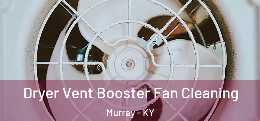 Dryer Vent Booster Fan Cleaning Murray - KY