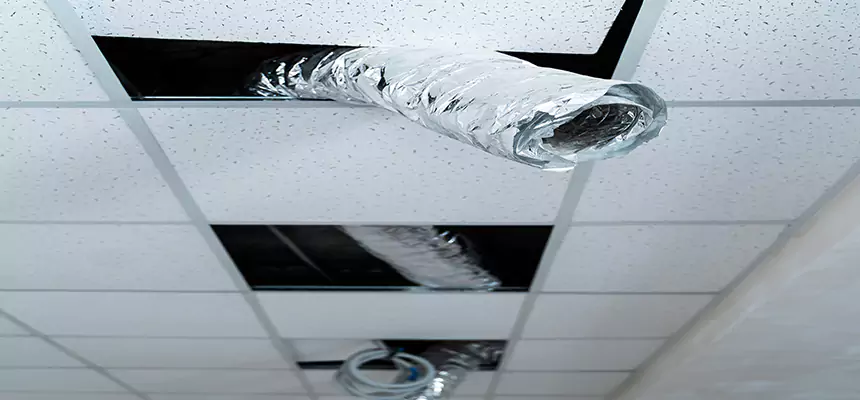 Our Air Duct Pet Hair Removal Services in Murray, KY