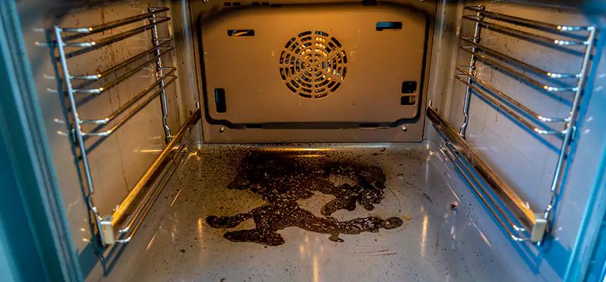 Our Dryer Vent Mold Cleaning Services in Murray, KY