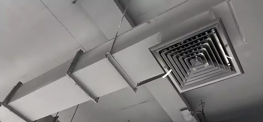 Our Rodent Droppings In Vents Services in Murray, KY