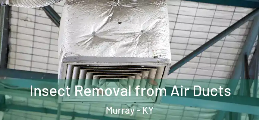  Insect Removal from Air Ducts Murray - KY
