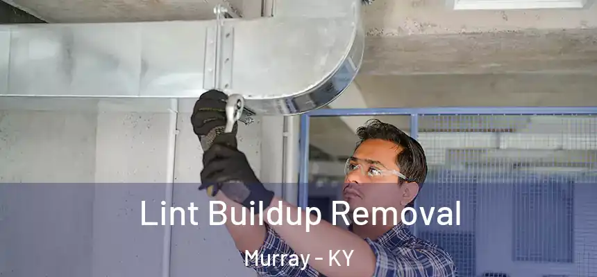  Lint Buildup Removal Murray - KY