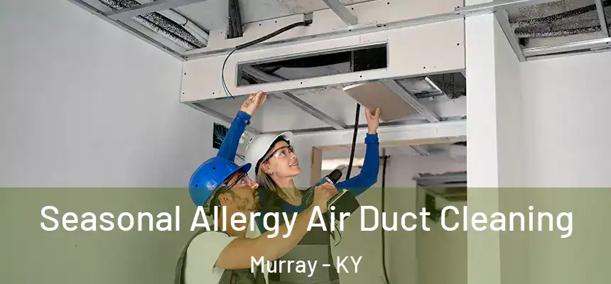 Seasonal Allergy Air Duct Cleaning Murray - KY