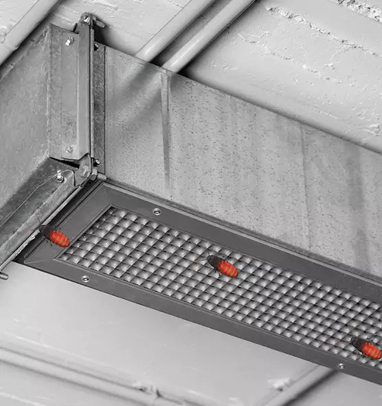 About Air Duct Cockroach Removal in Murray, KY