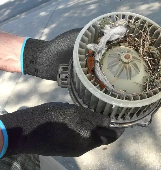 About Air Duct Mice Removal in Murray, KY