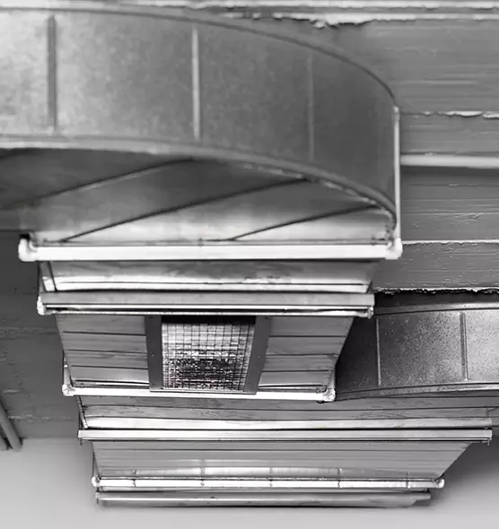 Professional Air Duct Pest Removal in Murray, KY