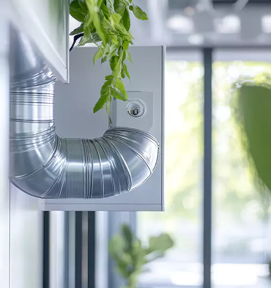 Professional Eco-Friendly Duct Cleaning Services in Murray, KY