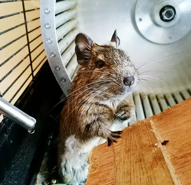 Why Homeowners & Businesses Trust Us Murray, KY?