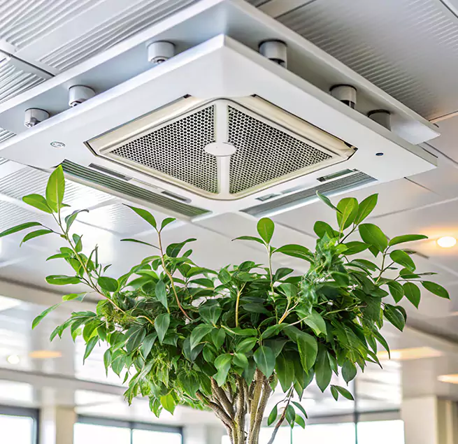 Why Homeowners & Businesses Trust Us in Murray, KY