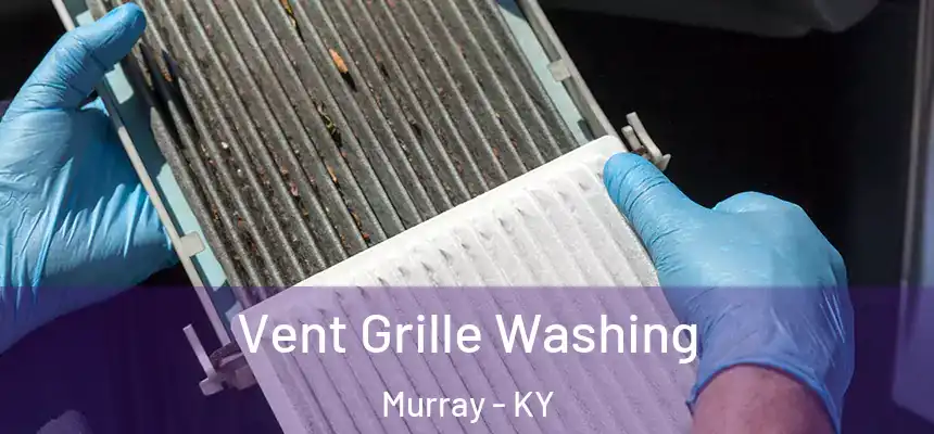  Vent Grille Washing Murray - KY