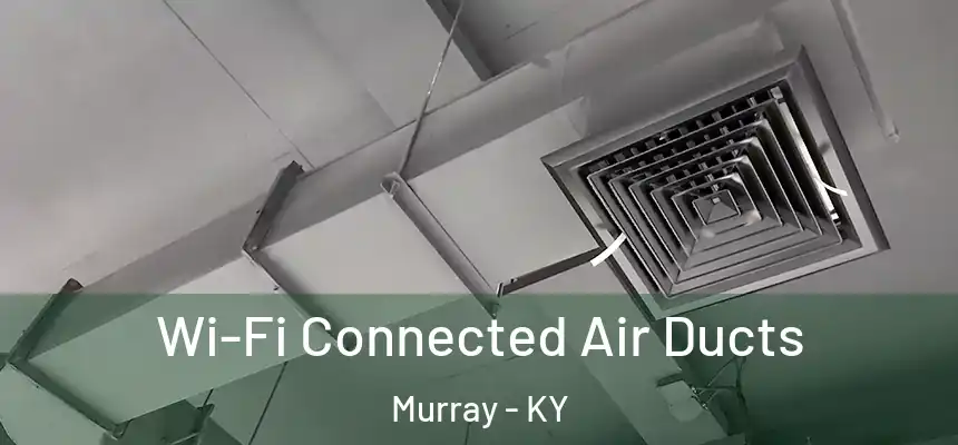  Wi-Fi Connected Air Ducts Murray - KY